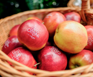 Logofruit® - logoappel - Good Omens