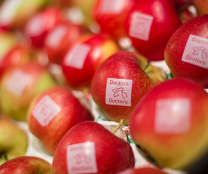 Logofruit® - logoappel - doctors