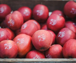 Logofruit® - logoappel - cupido